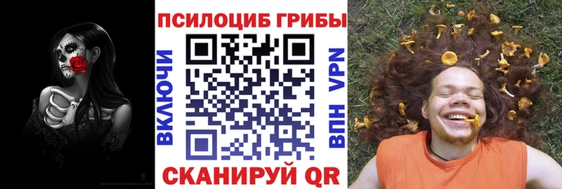 kraken вход  цена наркотик  Копейск  Псилоцибиновые грибы прущие грибы 